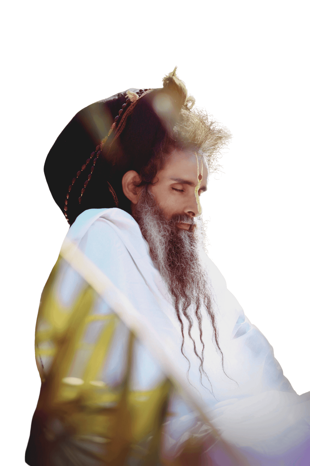 Sadguru Riteshwar Ji Maharaj Meditating
